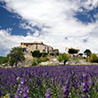 Typisch Provence
