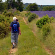 Hiking with  pleasure