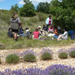 Picnic in total solitude