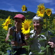 Under the sky of the Haute-Provence