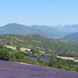 'In the middle of the Haute-Provence