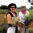 Lavender to take home