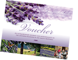Voucher for a journey to the Haute Provence