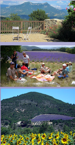 Impressions of the Haute Provence 