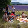 Picknickpause