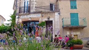 Cafe de la lavande