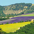 Leuchtende Farben