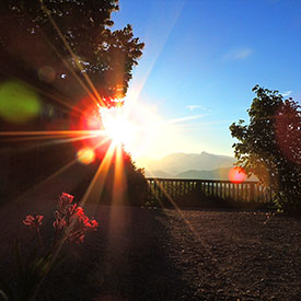 Unser Garten im ersten Morgenlicht